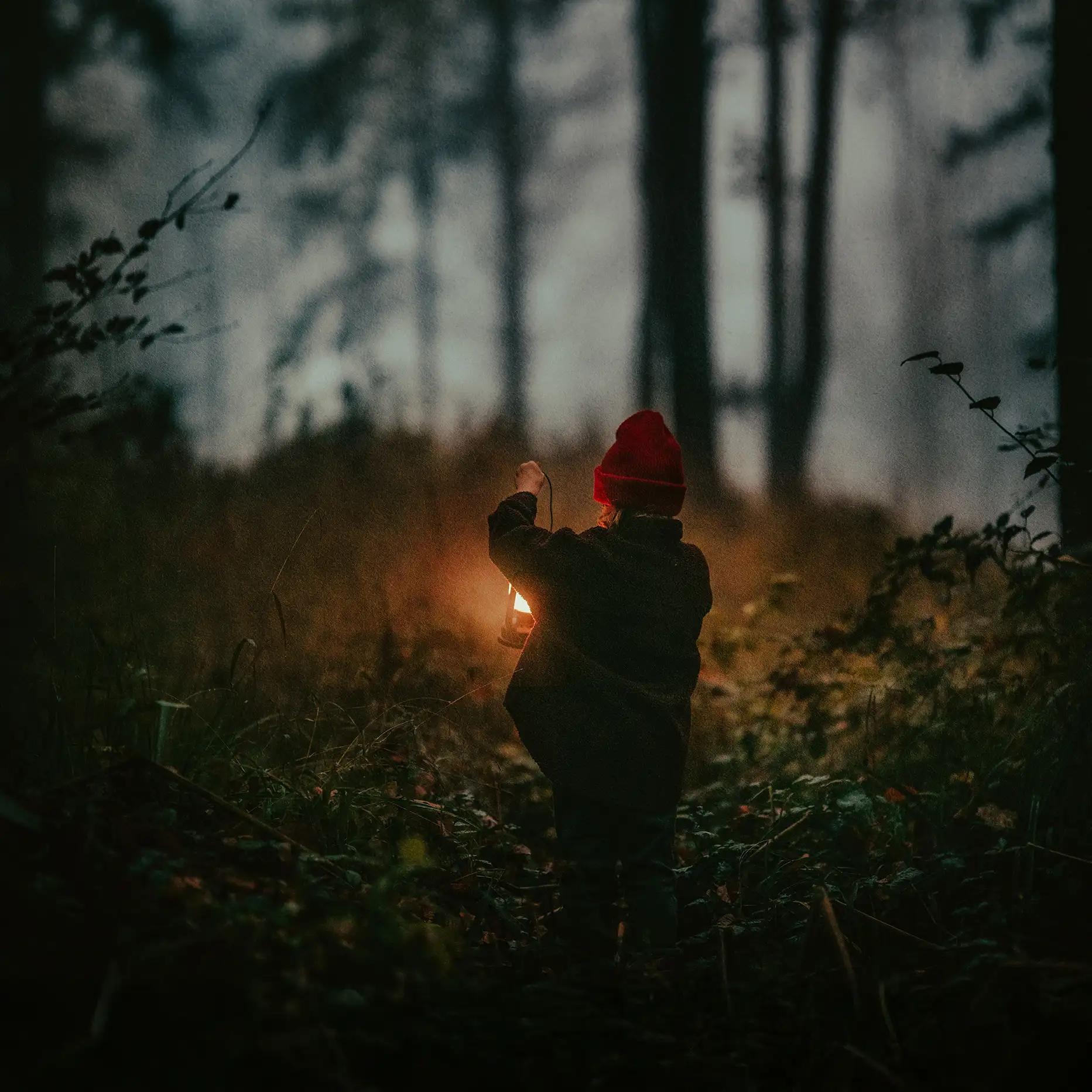 Mädchen in Rückenansicht mit Laterne in der Hand im dunklen Wald